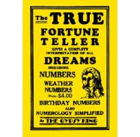 True Fortune-Teller Image